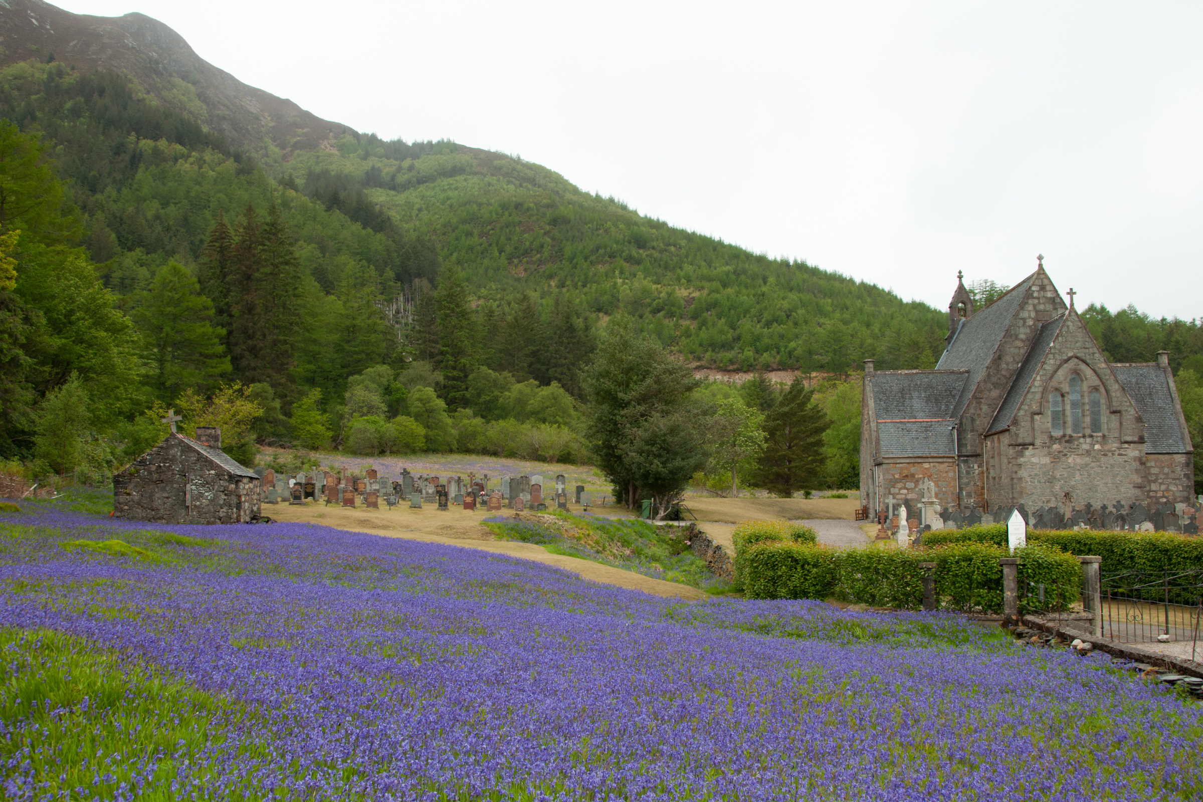 ballachulish (2).webp